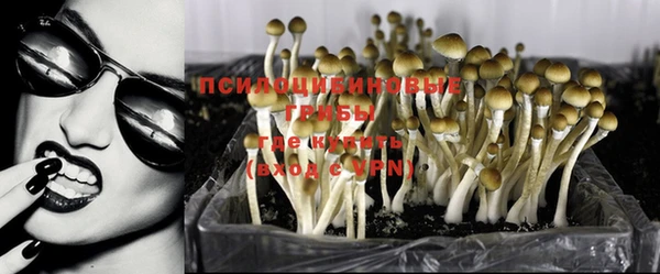 герыч Зерноград